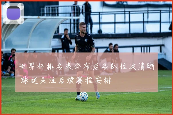 世界杯排名表公布后各队位次清晰 球迷关注后续赛程安排