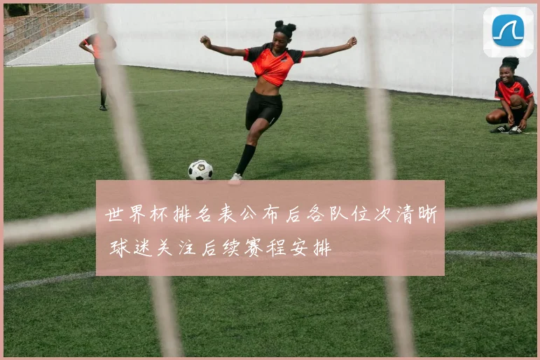 世界杯排名表公布后各队位次清晰 球迷关注后续赛程安排
