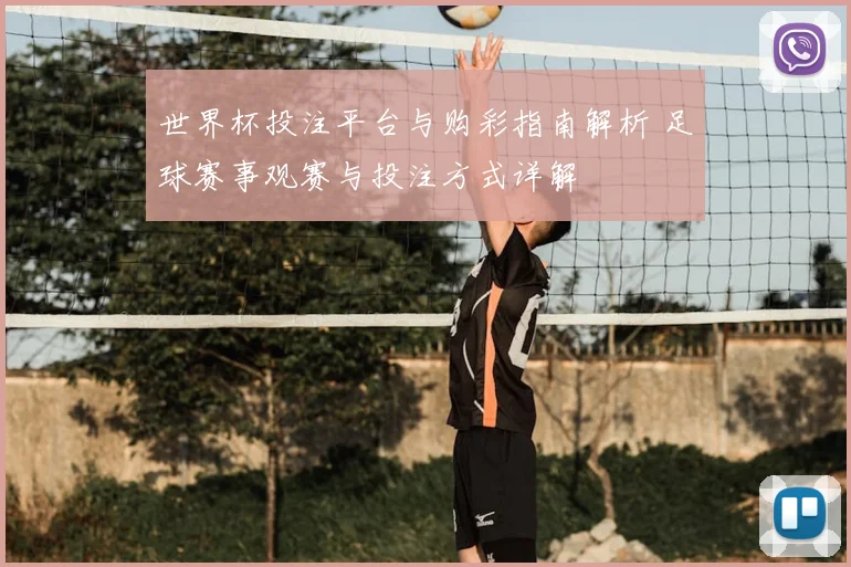 世界杯投注平台与购彩指南解析 足球赛事观赛与投注方式详解
