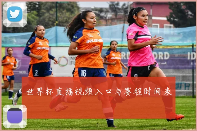 世界杯直播视频入口与赛程时间表