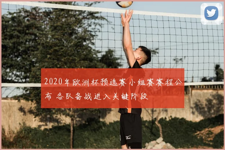 2020年欧洲杯预选赛小组赛赛程公布 各队备战进入关键阶段