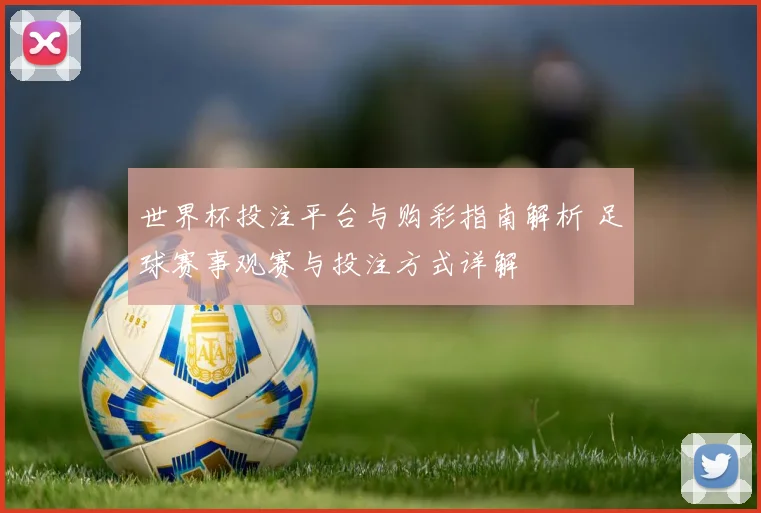 世界杯投注平台与购彩指南解析 足球赛事观赛与投注方式详解